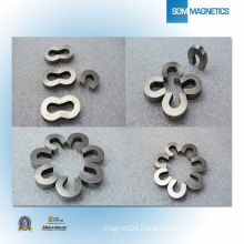 High Quality China Permanent Magnet